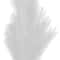42" White Pampas Grass Stem by Ashland®